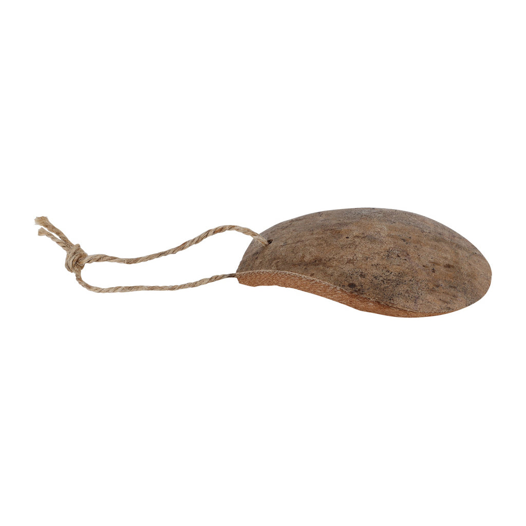 Coconut Pan Scraper    at Boston General Store