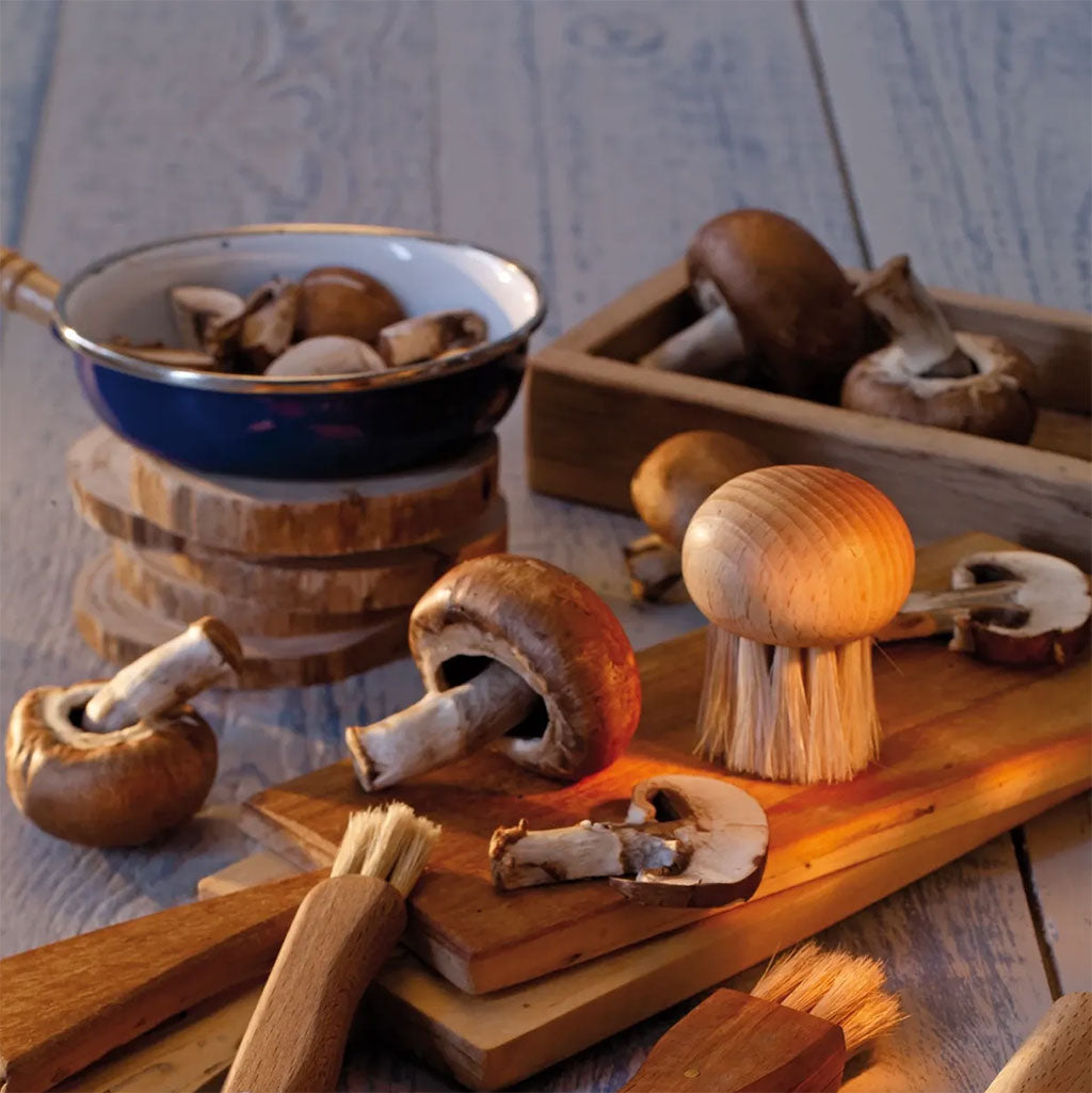 Mushroom Brush at Boston General Store
