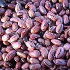 Rio Zape Bean Boston General Store