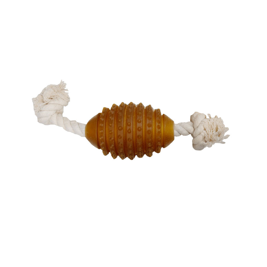 Rubber Spike and Rope Dog Toy at Boston General Store