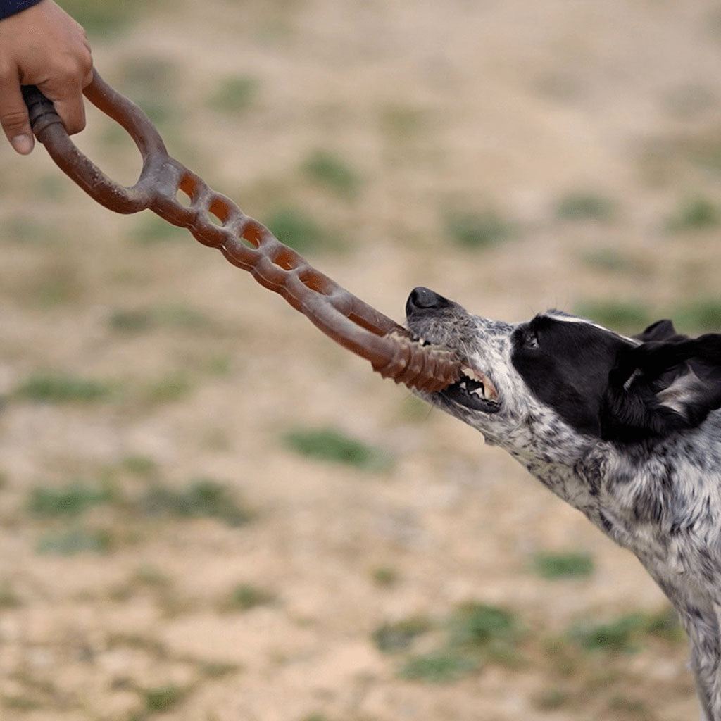 Rubber Tug-Of-War Dog Toy at Boston General Store