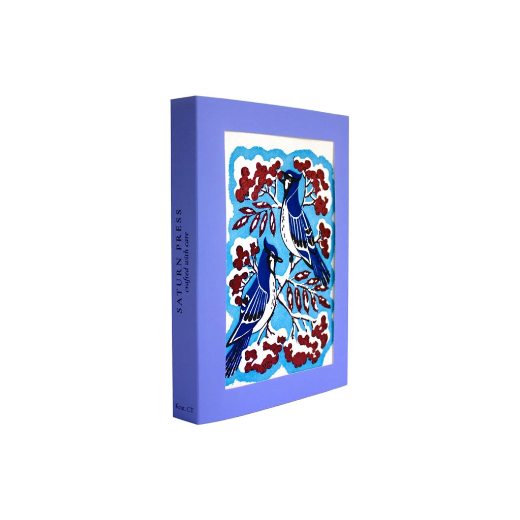 Set of holiday blue jay cards in purple box.