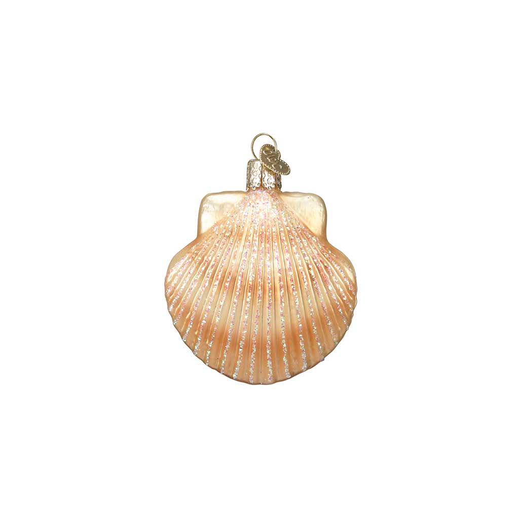 Scallop Shell Ornament Boston General Store
