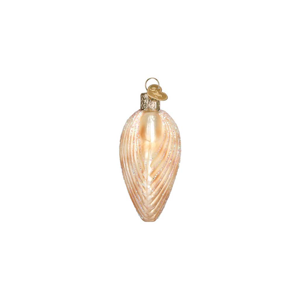 Scallop Shell Ornament Boston General Store