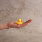 Sheep's Milk Soap Ducklings, Set of 2 Boston General Store