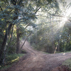 Shining Bright Malawian White Boston General Store