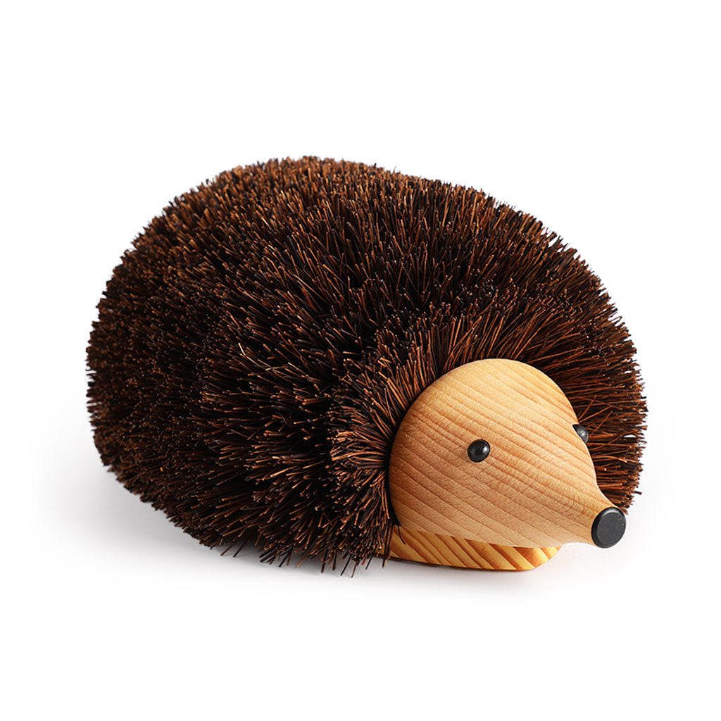 Shoe Cleaning Hedgehog at Boston General Store