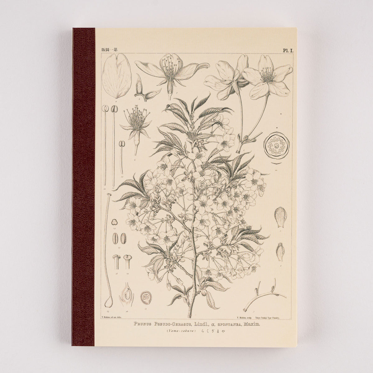 Hobonichi Grid Notebook (A5) Yamazakura    at Boston General Store