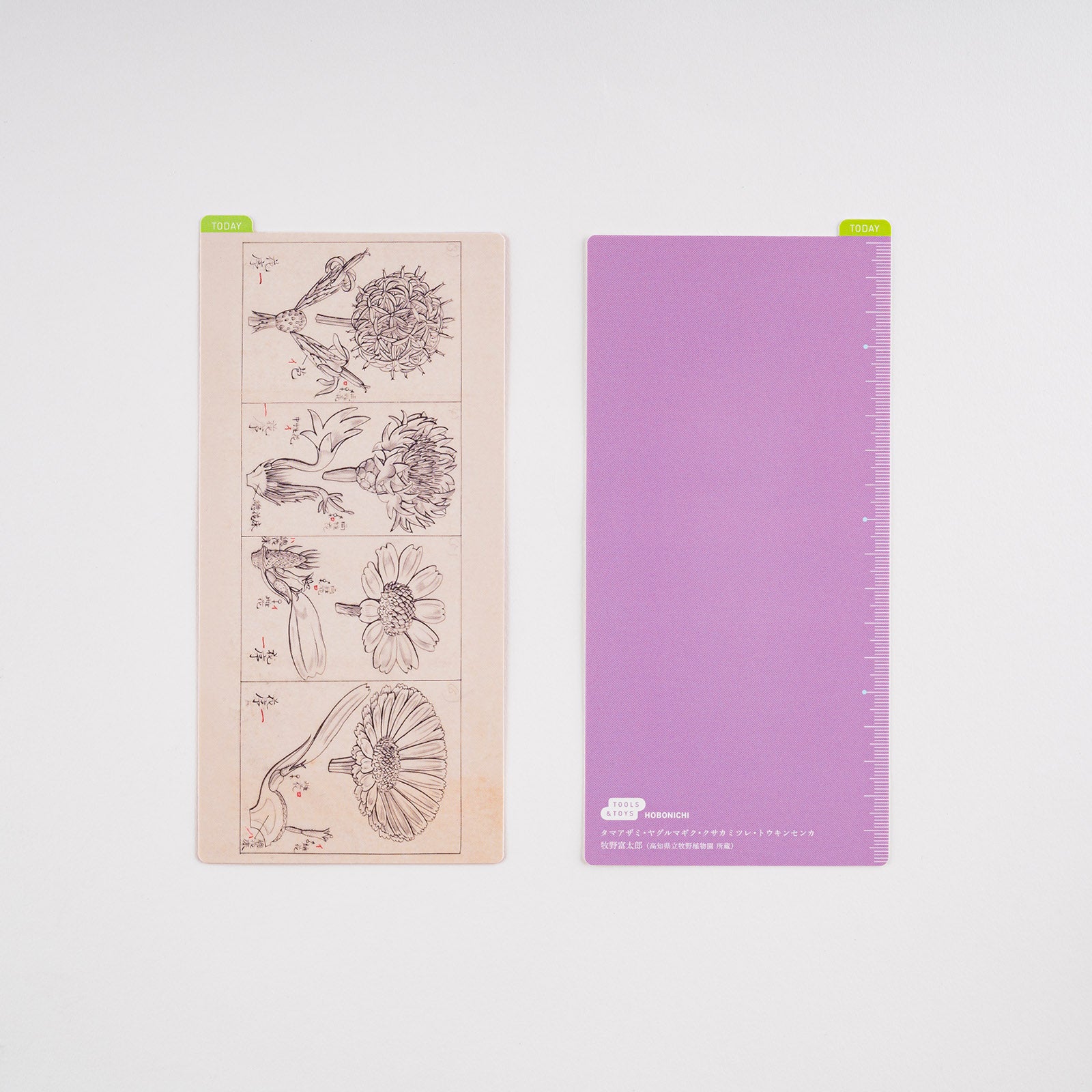 Hobonichi Pencil Board - Weeks - Tomitaro Makino    at Boston General Store