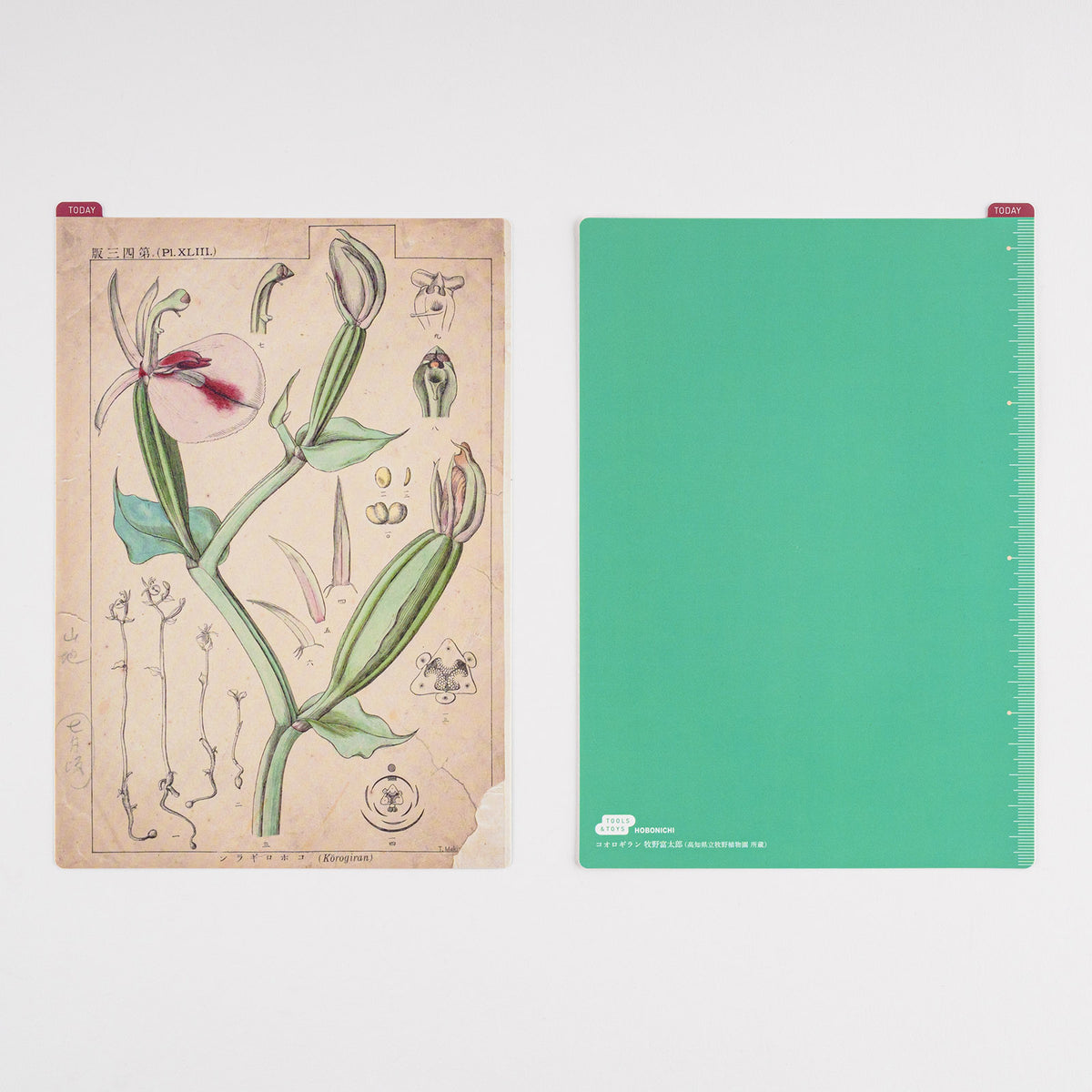 Hobonichi Pencil Board -Cousin A5 - Tomitaro Makino    at Boston General Store