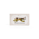 Small Sardines in Extra Virgin Olive Oil Boston General Store