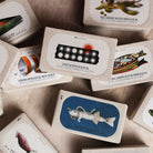 Spiced Octopus in Olive Oil Boston General Store