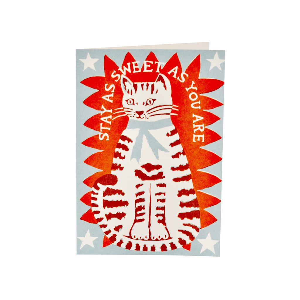 large blue and red greeting card featuring a cat illustration and the text, Stay as sweet as you are