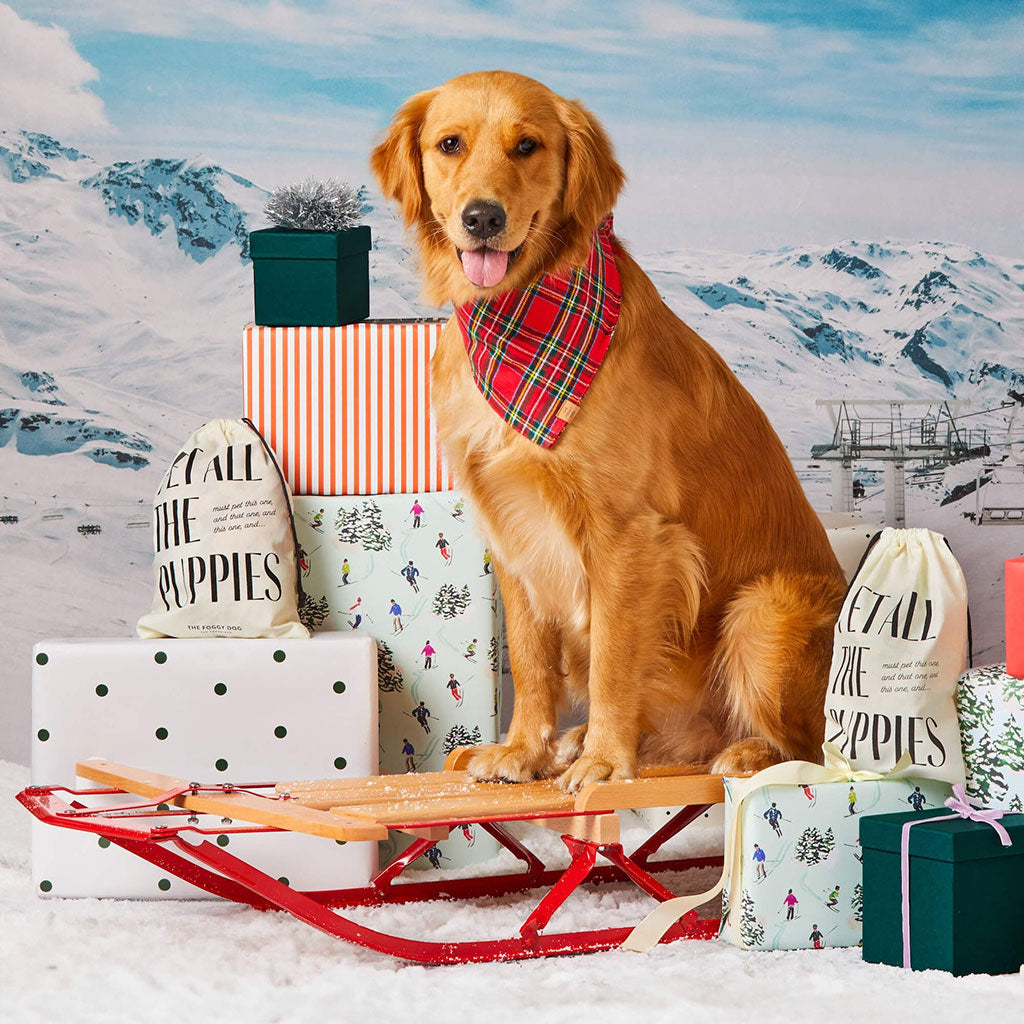 Tartan Plaid Dog Bandana    at Boston General Store
