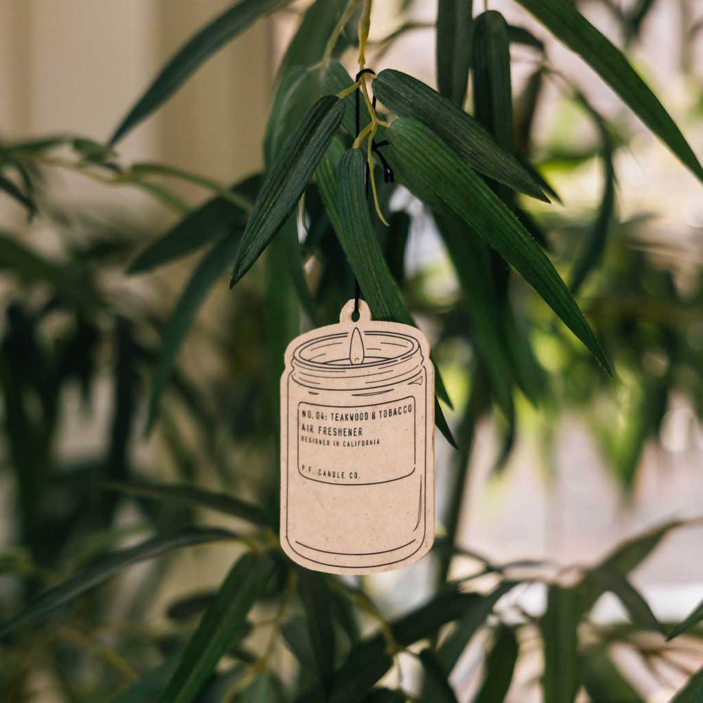 Teakwood and tobacco air freshener hanging from plant