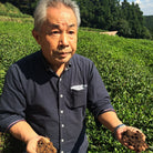 The Greenest Green Boston General Store