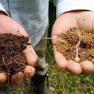 The Greenest Green Boston General Store