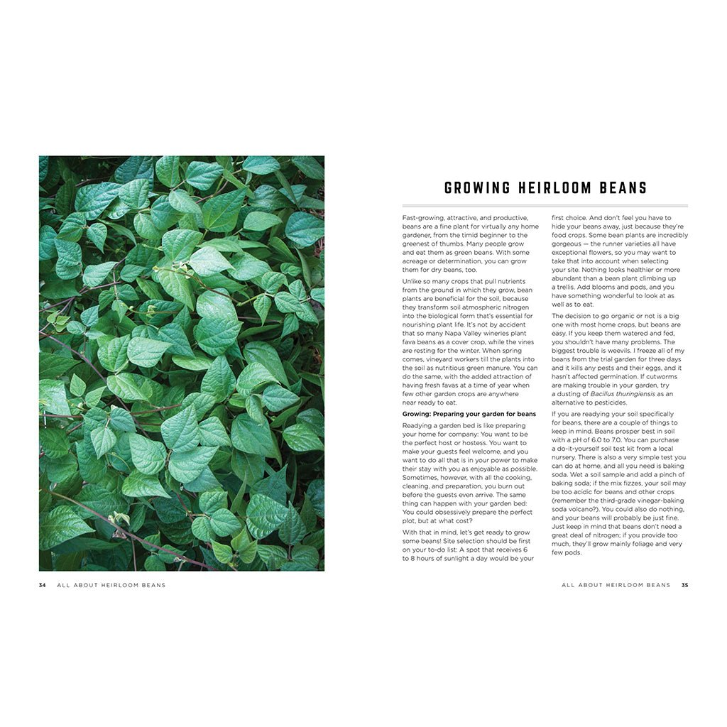 The Rancho Gordo Heirloom Bean Guide Boston General Store