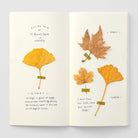 Traveler's Notebook Refill MD Paper Cream Blank - 025 Boston General Store