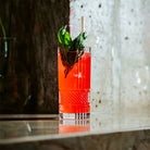 Tremont Hi Ball Glass Boston General Store