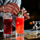 Tremont Hi Ball Glass Boston General Store