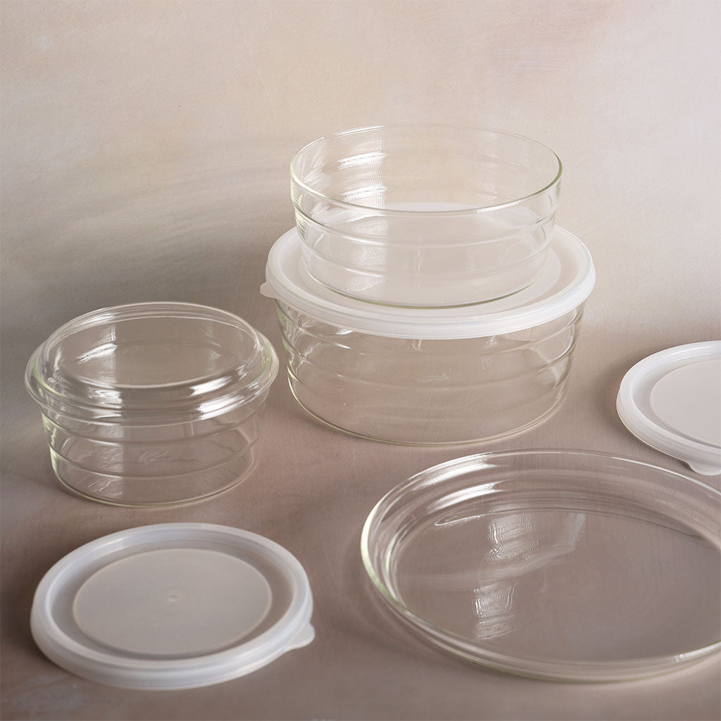 Centric Glass Dish    at Boston General Store