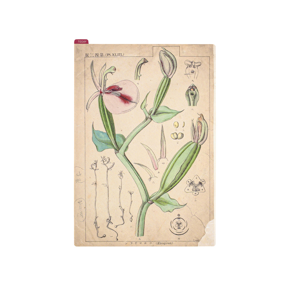 Hobonichi Pencil Board -Cousin A5 - Tomitaro Makino    at Boston General Store