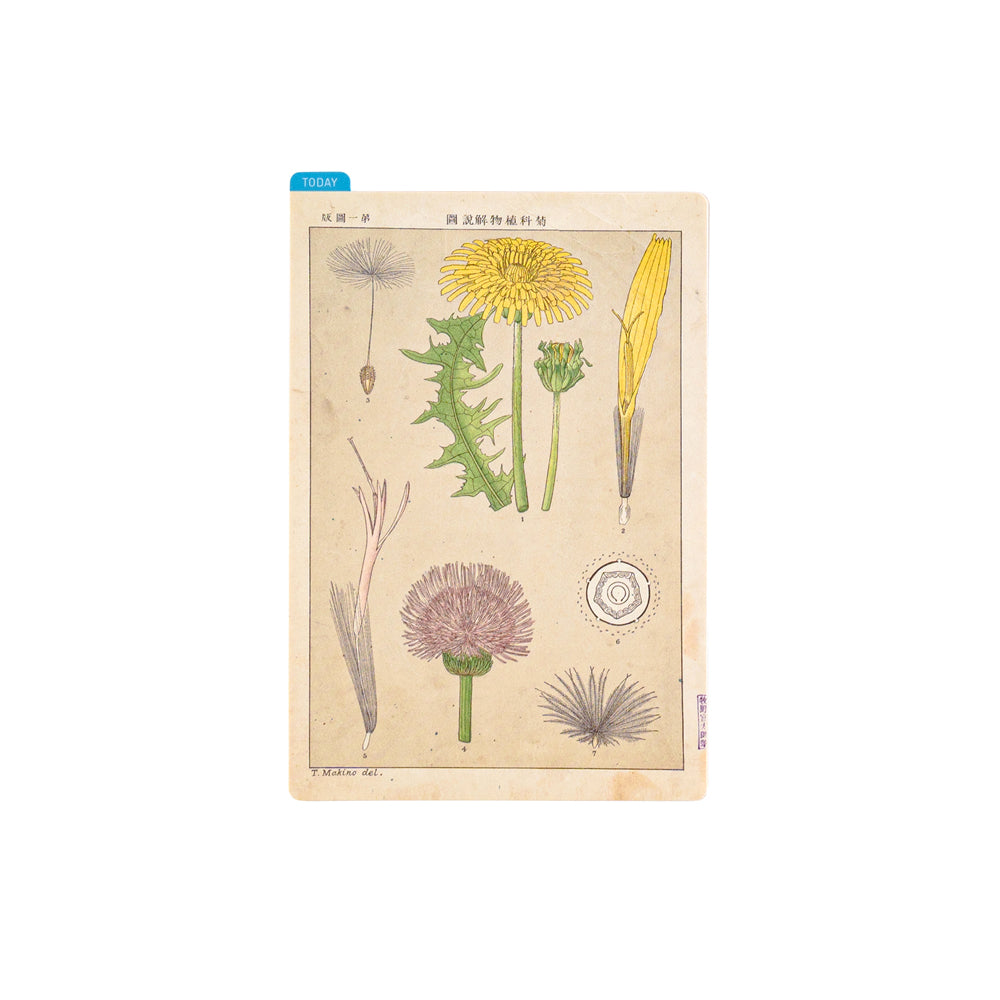 Hobonichi Pencil Board - Original A6 - Tomitaro Makino    at Boston General Store