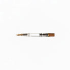 TWSBI Eco Fountain Pen Boston General Store