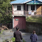 Uplifting Darjeeling Boston General Store