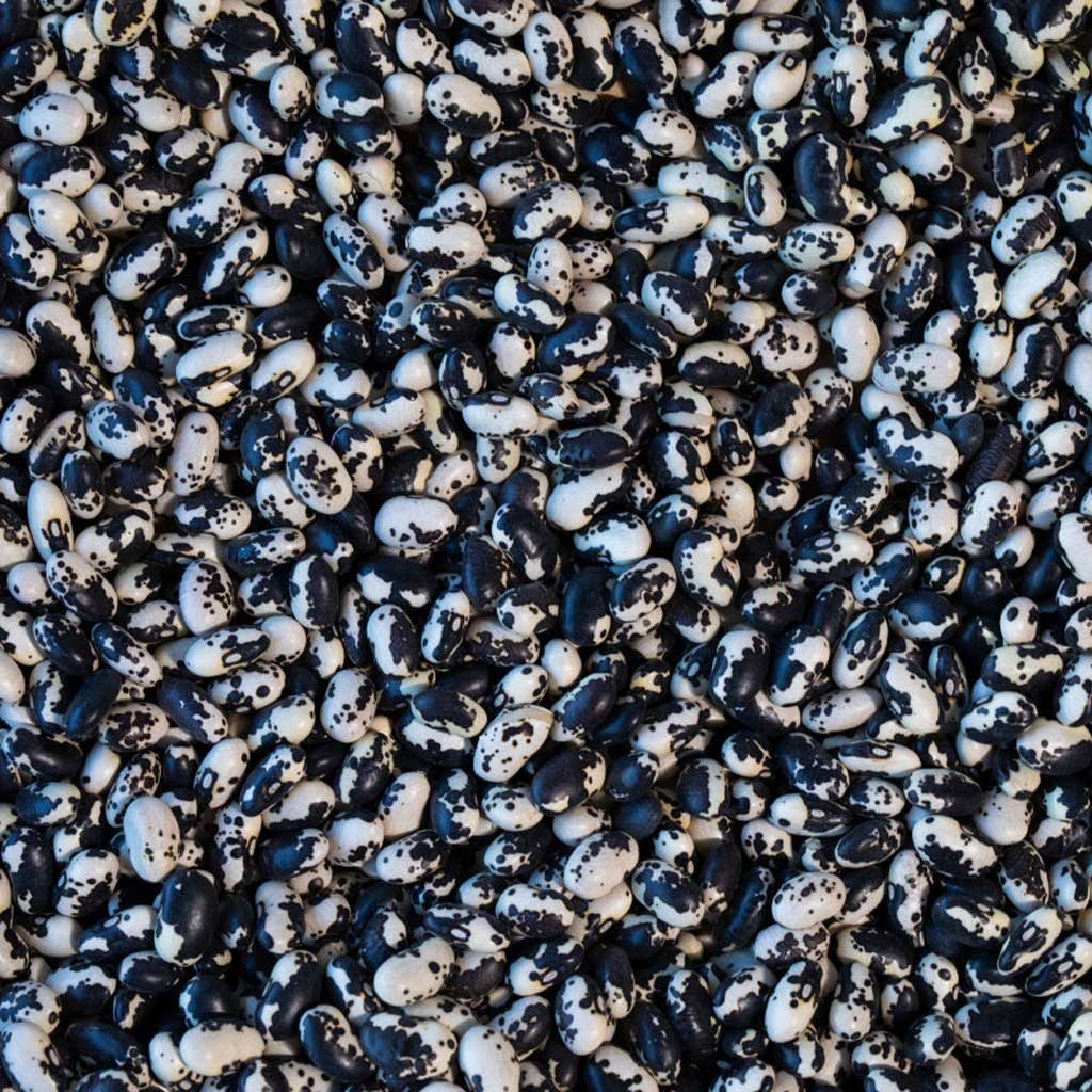 Close-up of black and white vaquero beans