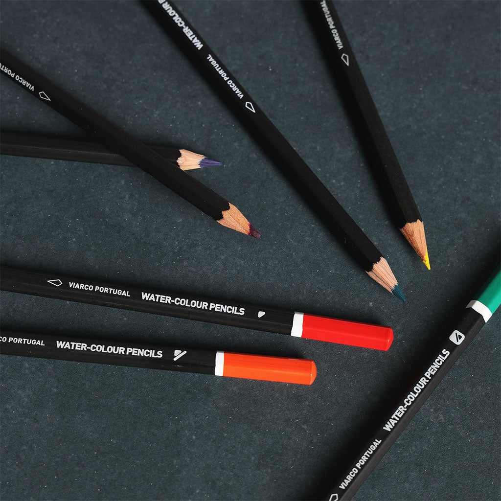Watercolor Pencils, Set of 24 at Boston General Store