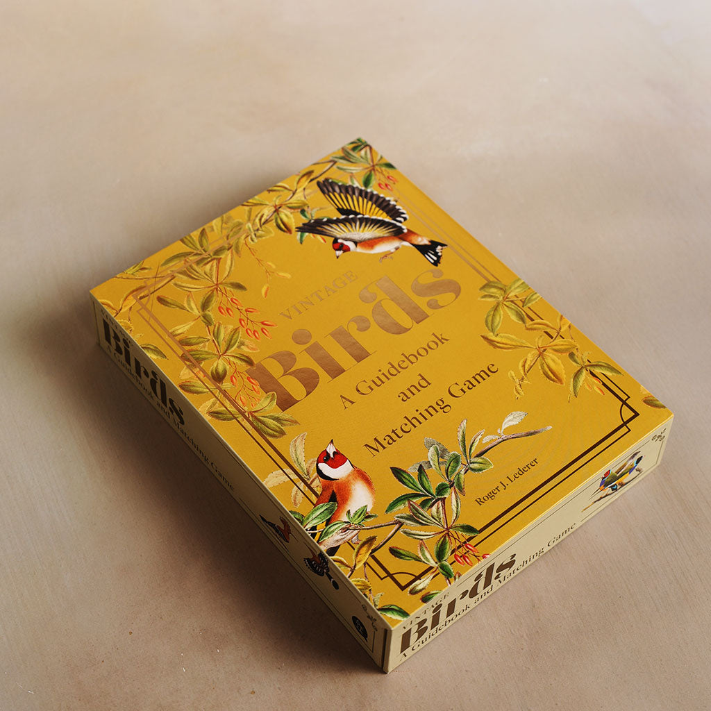 Vintage Birds: A Guidebook and Matching Game at Boston General Store