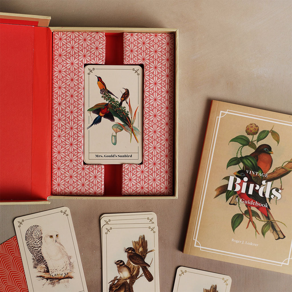 Vintage Birds: A Guidebook and Matching Game at Boston General Store