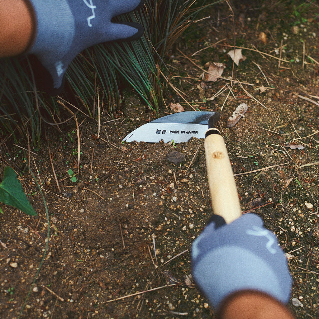 Person wearing blue gardening gloves holding a small weeding hoe over soil and plants.