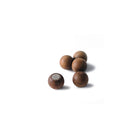 Set of five wooden ball magnets on white background