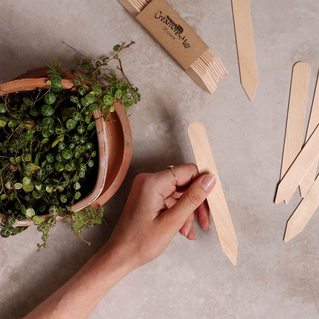 Wooden Seed Labels, Set of 20 Boston General Store