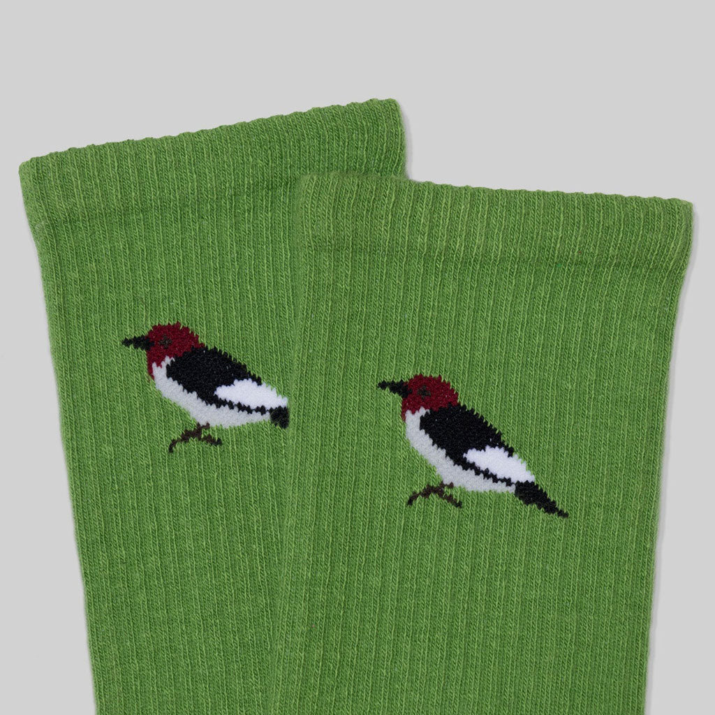 Woodpecker Sock at Boston General Store