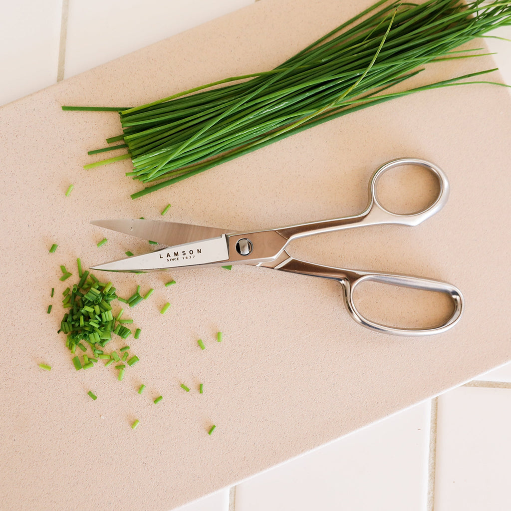 Forged Take-Apart Kitchen Shears    at Boston General Store