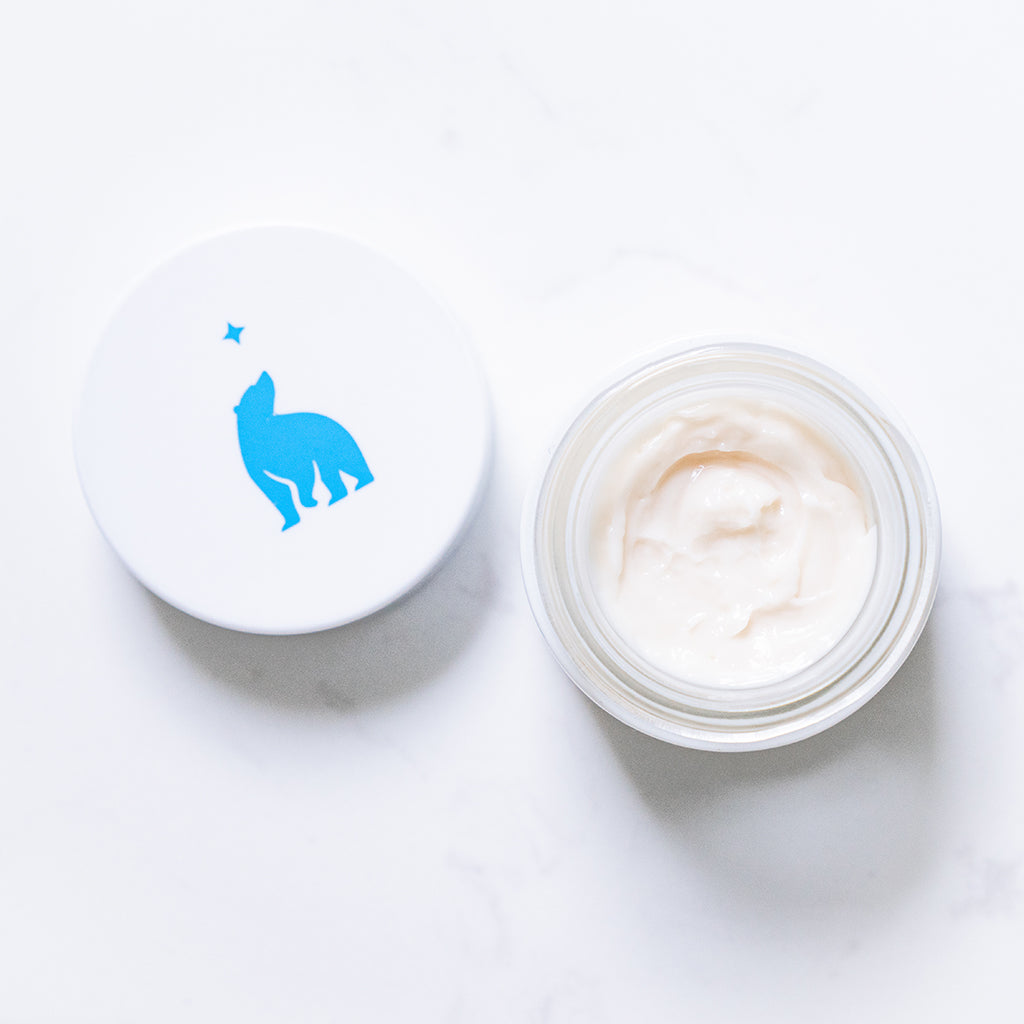 Forest Alchemy Eye Cream    at Boston General Store