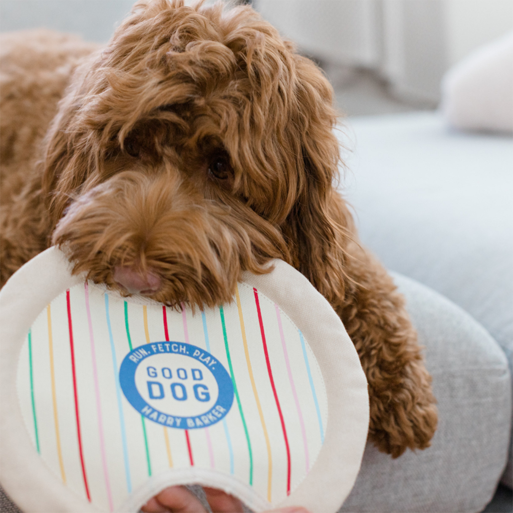 Good Dog Canvas Frisbee    at Boston General Store