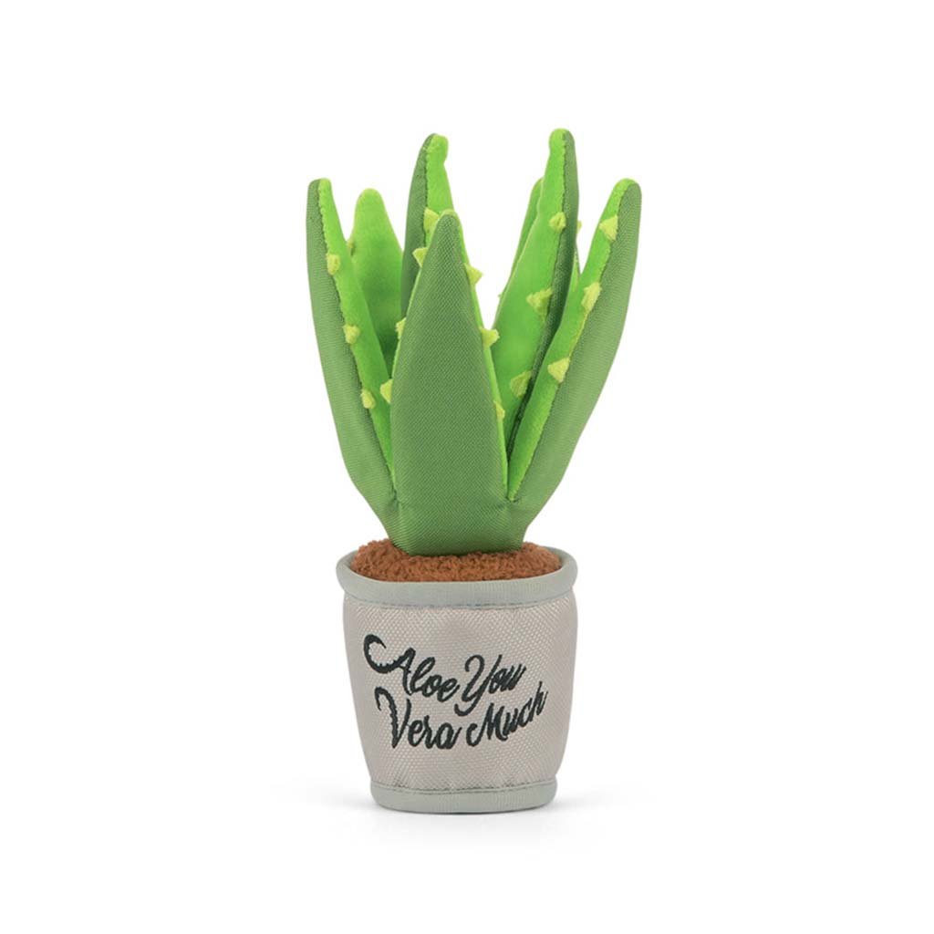 Aloe-ve You Plant Plush Dog Toy    at Boston General Store