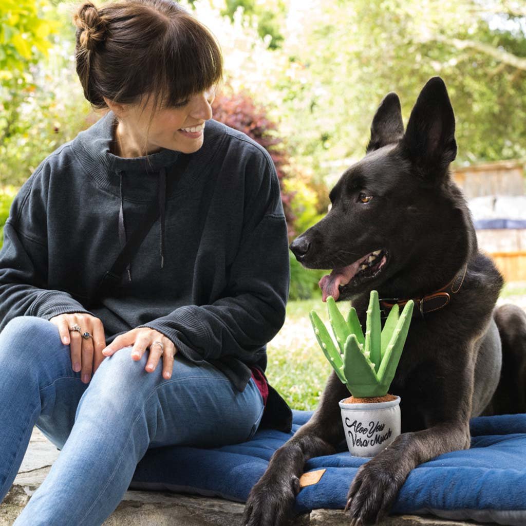 Aloe-ve You Plant Plush Dog Toy    at Boston General Store