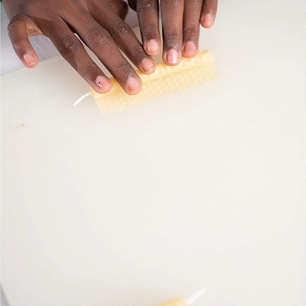 Beeswax Honeycomb Candle Kit    at Boston General Store