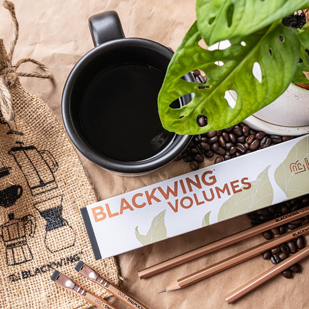 Blackwing Volume 200 Pencils    at Boston General Store
