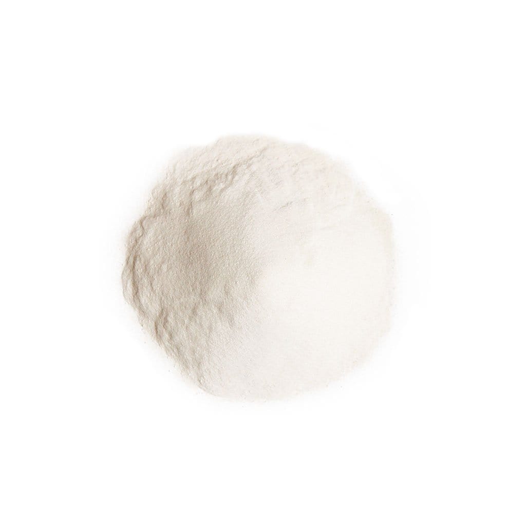 Bulk Sea Kelp and Aloe Powder Soak    at Boston General Store