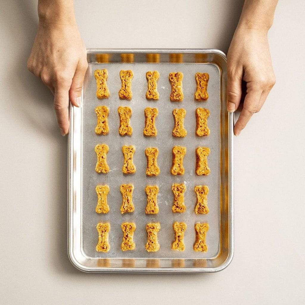 チーキー・リトル・パピィー ボネットを被ったダルメシアンのマイクロ・チーキー Chicken Littles by Polkadog Bakery | Boston General Store