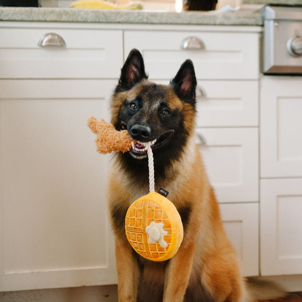 Chicken &amp; Woofles Plush Dog Toy    at Boston General Store