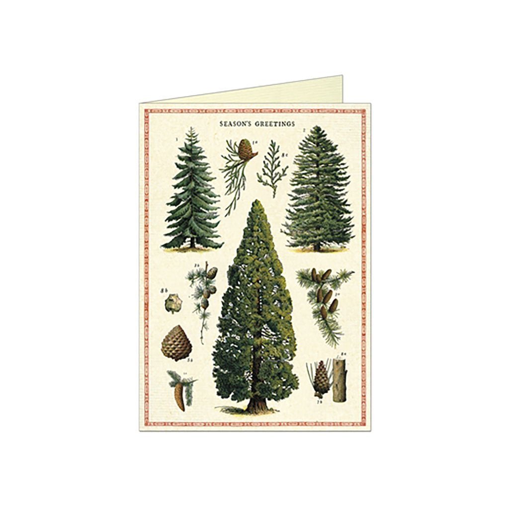 Christmas Trees Card Boston General Store