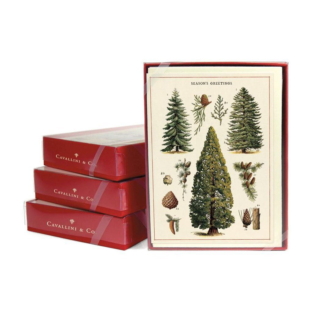 Christmas Trees Card, Boxed Set Boston General Store